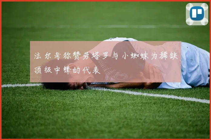 法尔考称赞劳塔罗与小蜘蛛为稀缺顶级中锋的代表